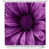 Purple selected