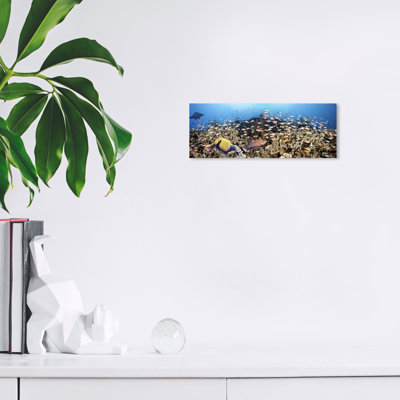" Panoramic Philippine Reef " by Wynwood Studio