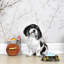 Flights of Fancy Dog Bone Kitchen Canister