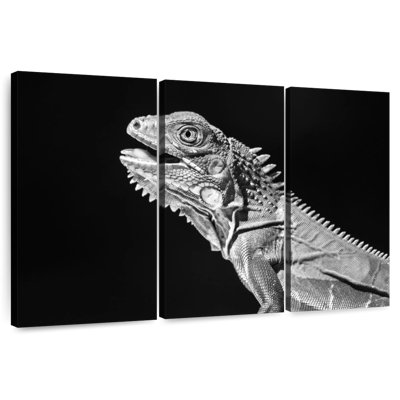 Iguane monochrome
