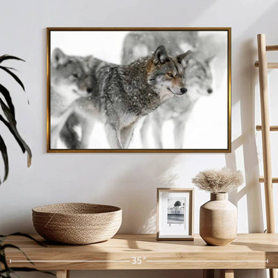 Coyote Band