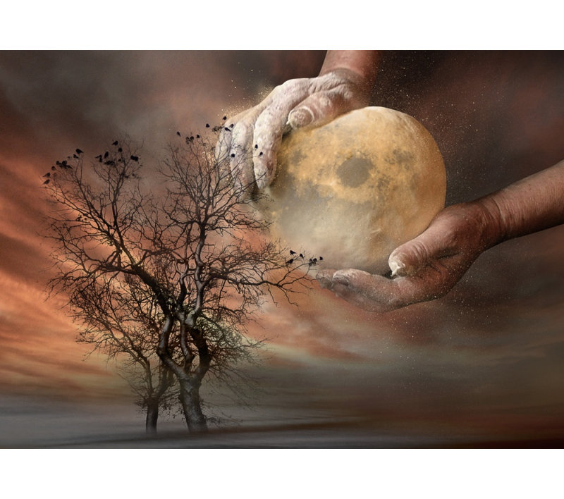 Wrapped Canvas Print, 121.92 cm H x 81.28 cm W