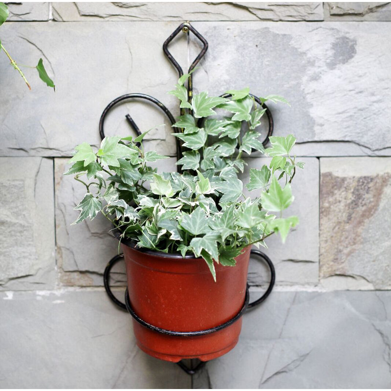 Colt Metal Wall Planter