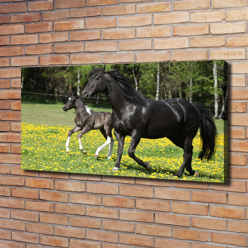 Mare With Foal - Wrapped Canvas Print