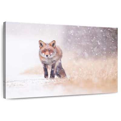 Brampt renard dans la tempête de neige