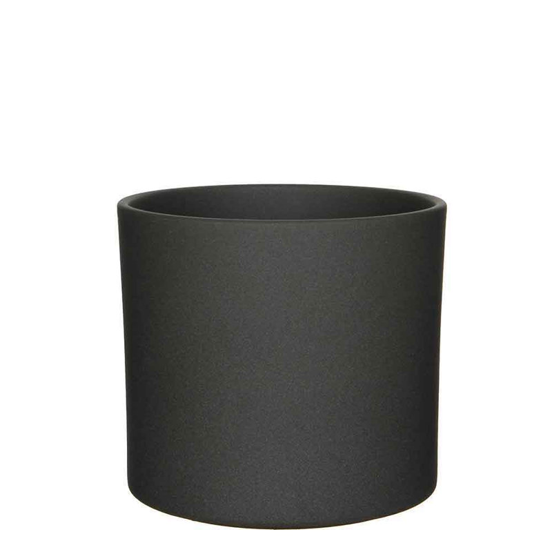 Carlis Ceramic Pot Planter