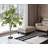 Ficus Tree