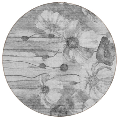  Emblyn Area Rug