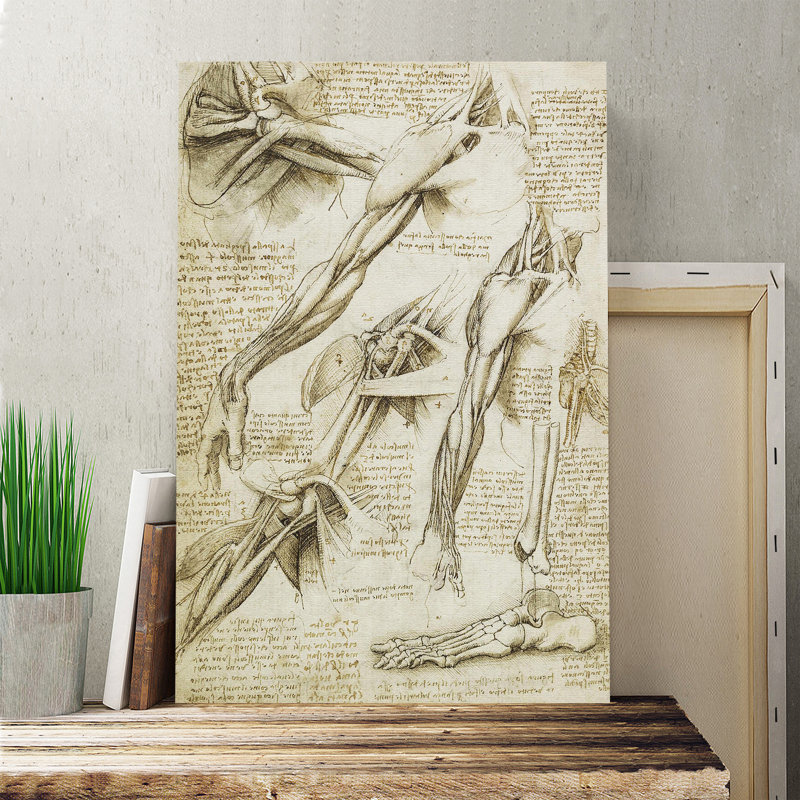 Leonardo Da Vinci - Wrapped Canvas Painting, 100cm H x 70cm W