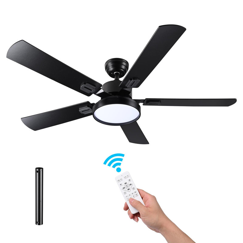 Ensemble d'éclairage universel pour ventilateur de plafond à DEL, Noir