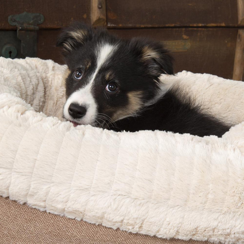 Ellen Polyester Pet Bed, Tan/Ivory, 15cm H x 75cm W x 75cm D