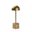 Desk Lamp-959347441