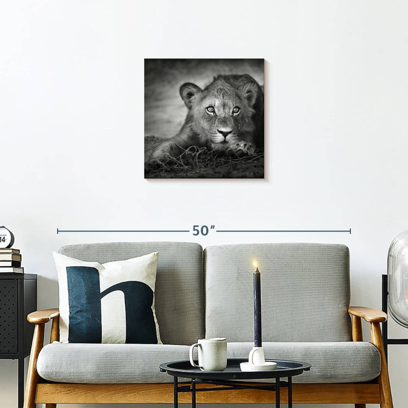 Brampt Young Lion Head, 20" H x 20" W