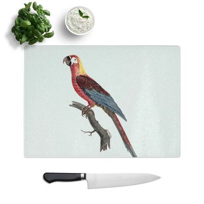 Tempered Glass Cuban Macaw Parrot Chopping Board