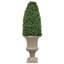 BOXWOOD BULLET IN A URN