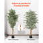 Faux Ficus Tree in Pot-1879489429