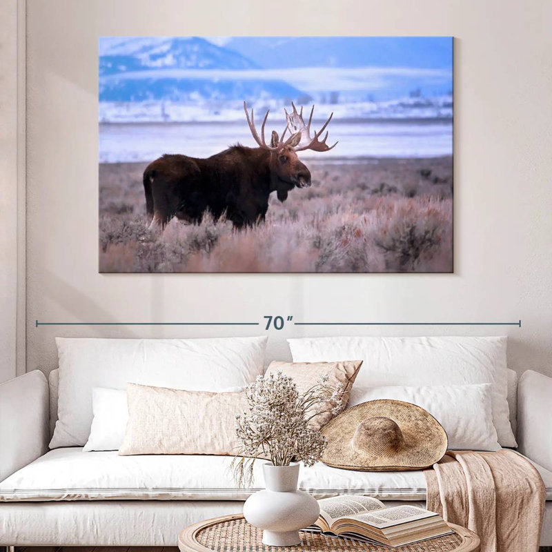Brampt Teton Bull Moose