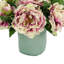 Arrangement de pivoines en pot