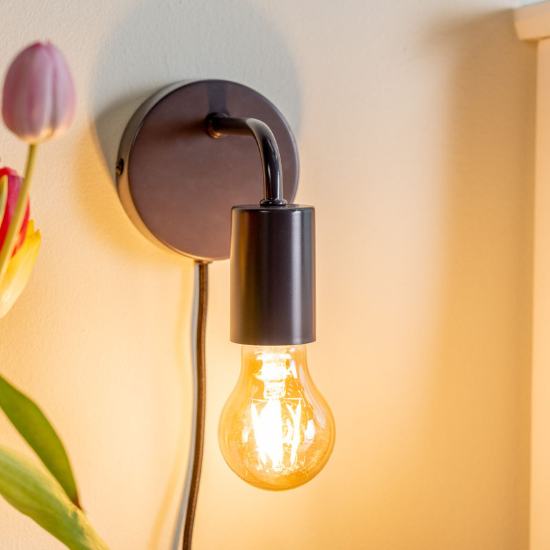Caryol Plug-in Armed Sconce, Yes, Charcoal