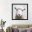 «Sheep» - reproduction de photo-52366828-52366832