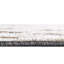 Groton gris-275594086