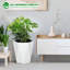 Planter-535990838