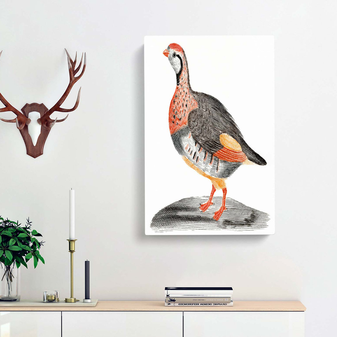 A Partridge by Johan Teyler - Wrapped Canvas