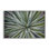 Centric Succulent Leaves Framed Giclee Art by Susan Bryant
