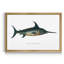 «Common Sword Fish», impression sur toile encadrée-791251555-791251559