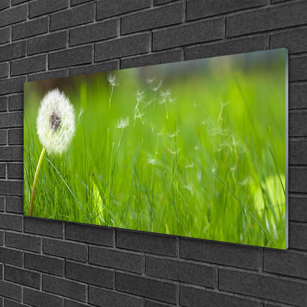 Glasbild Pusteblume Grass