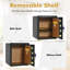 Catine Safe Box Lock