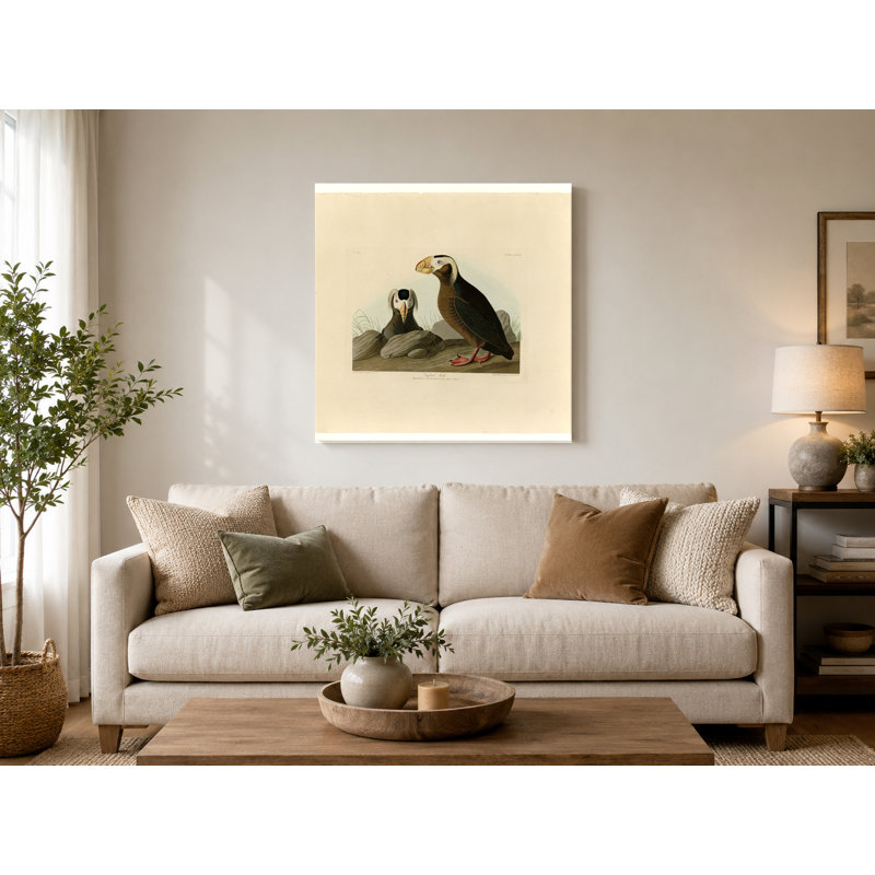 Touffeté auk, plaque CCXLIX (1835) - art mural carré sur toile, 12" W x 12" H