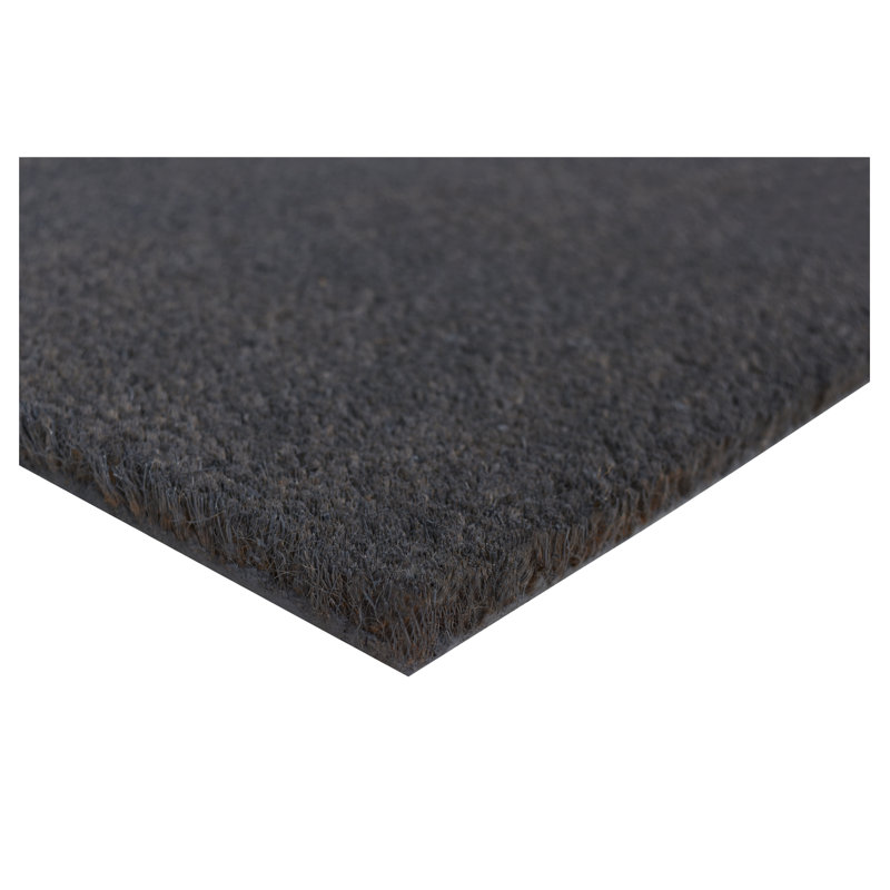 Tapis d'extérieur antidérapant Kasper, L 17 po x L 29 po, Noir