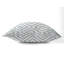 Coussin Ikat-108050849-108050848
