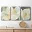 «Reaching for the Sun IV», reproduction d'art sur toile encadrée-481464107