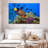 Brampt Royal Angelfish-107850758