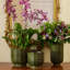 Delmara Ceramic / Porcelain Table Vase-1672380315