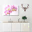 Pink Orchid Flower - Wrapped Canvas-56634832