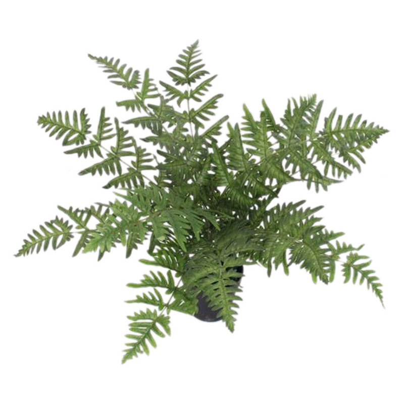 50cm Faux Plant in Pot Liner