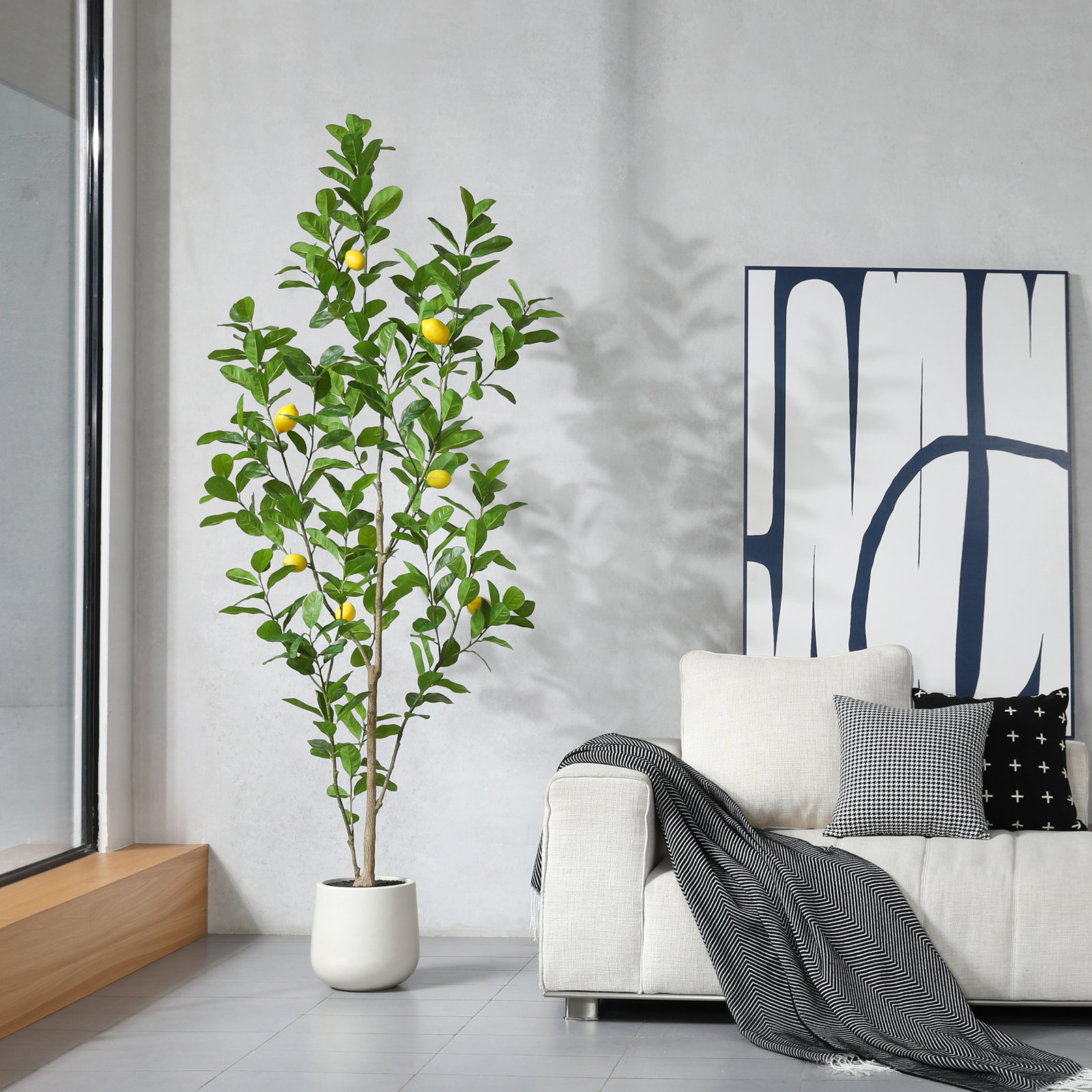 Adcock Lemon Tree in Pot, 84" H x 28" W x 28" D