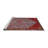 Oriental Indoor Rug-843352121