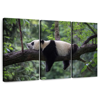 Lazy Panda
