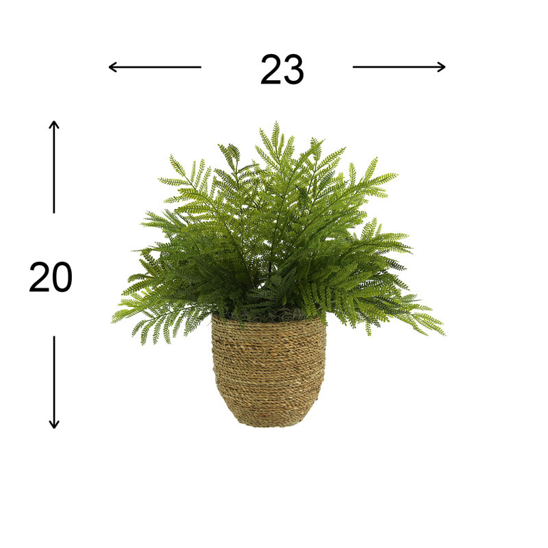 Outdoor UV-Rated Ostrich Fern in Straw Grass Wrapped Pot