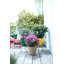 Pot Planter-37904908-70015823