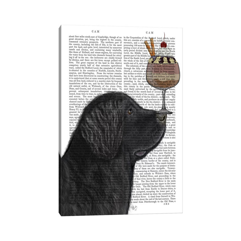 Newfoundland Ice Cream, Print BG 1 Piece Wrapped Canvas Painting, 30.48 cm H x 45.72 cm W