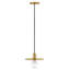 Luminaire suspendu convertible Favian-307443735