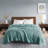 Blanket-113920768-113920769