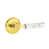 Unlacquered Brass