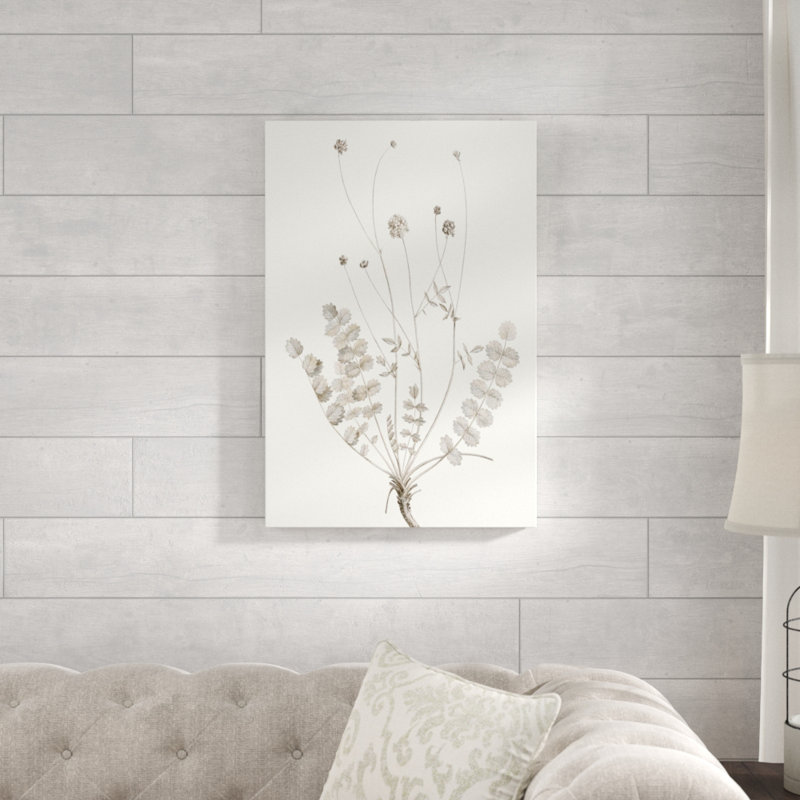 Neutral Botanical Study IX by Vision Studio - Painting Print, Wrapped Canvas, 76cm H x 51cm W