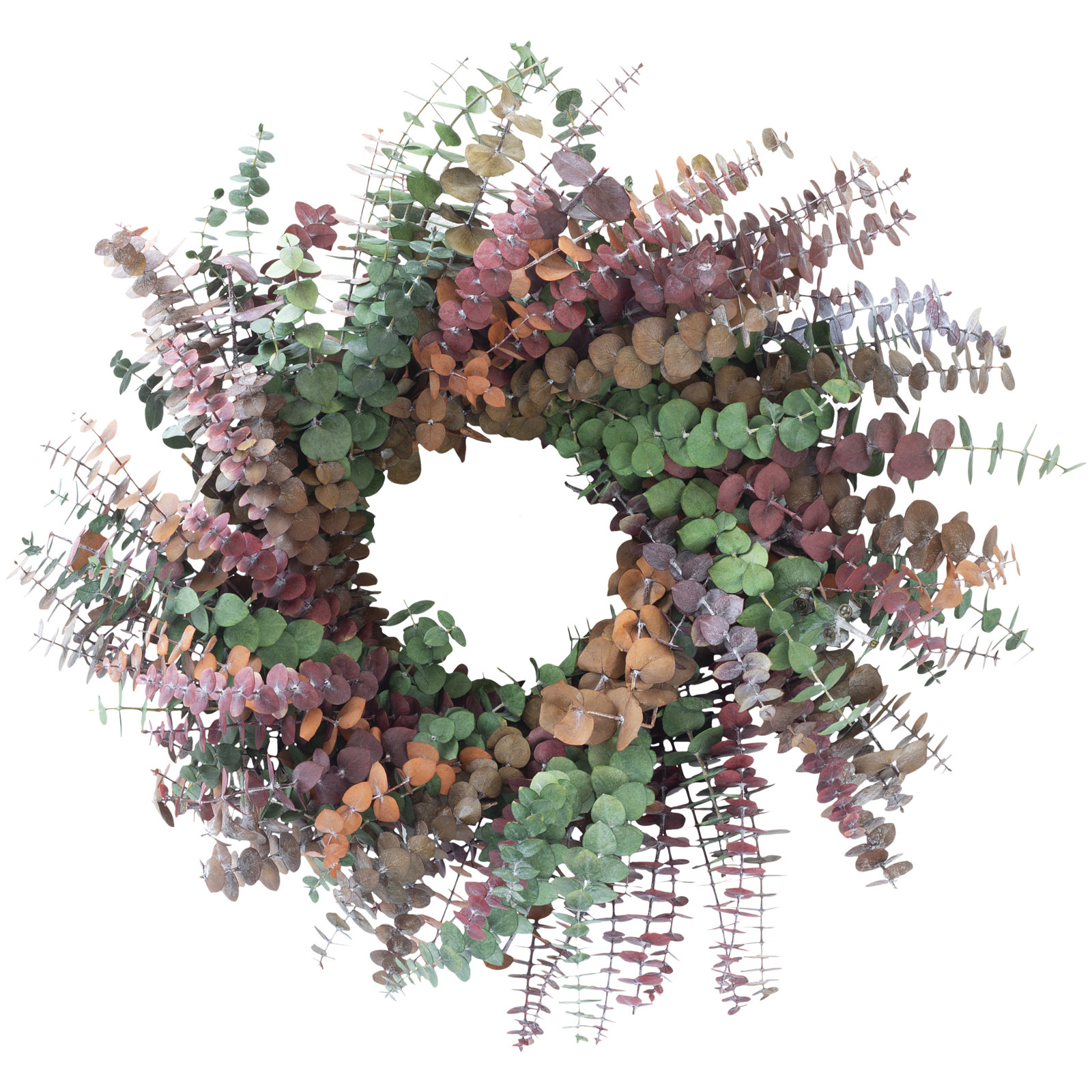 19'' Handcrafted Preserved Eucalyptus Baby Eucalyptus Wreath, Green/Yellow/Wine